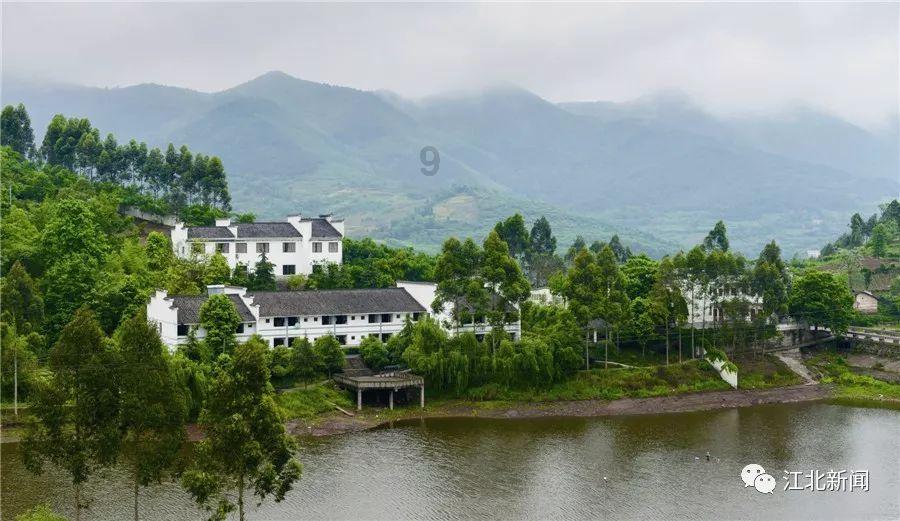数码宝贝8