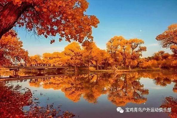 綦听丨时光依旧无限美好