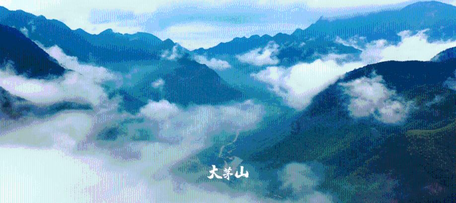 富士X系列无反相机如何选择微距镜头?