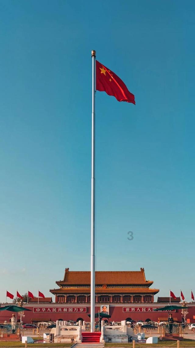 救援可爱小松鼠
